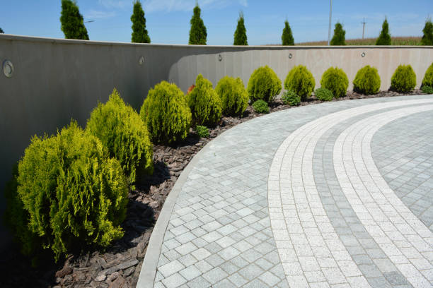 Best Cobblestone Driveway Pavers  in Talty, TX